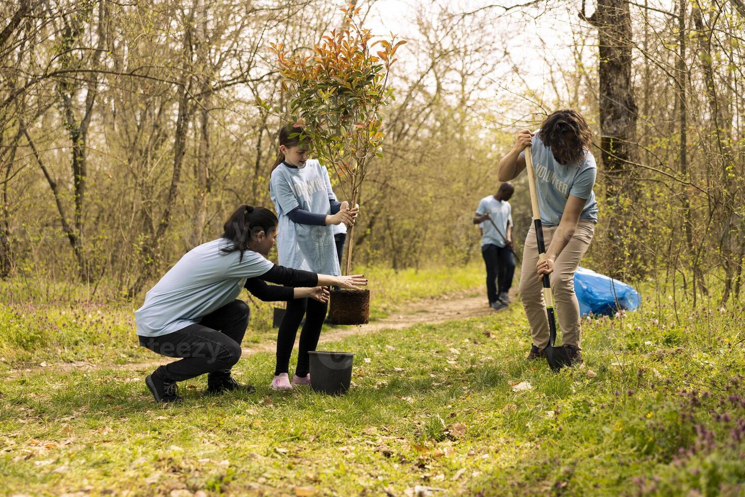 Team of activists planting trees around the woods area for nature preservation, doing voluntary work for a conservation project. Environmental enthusiasts plant seedlings together. photo