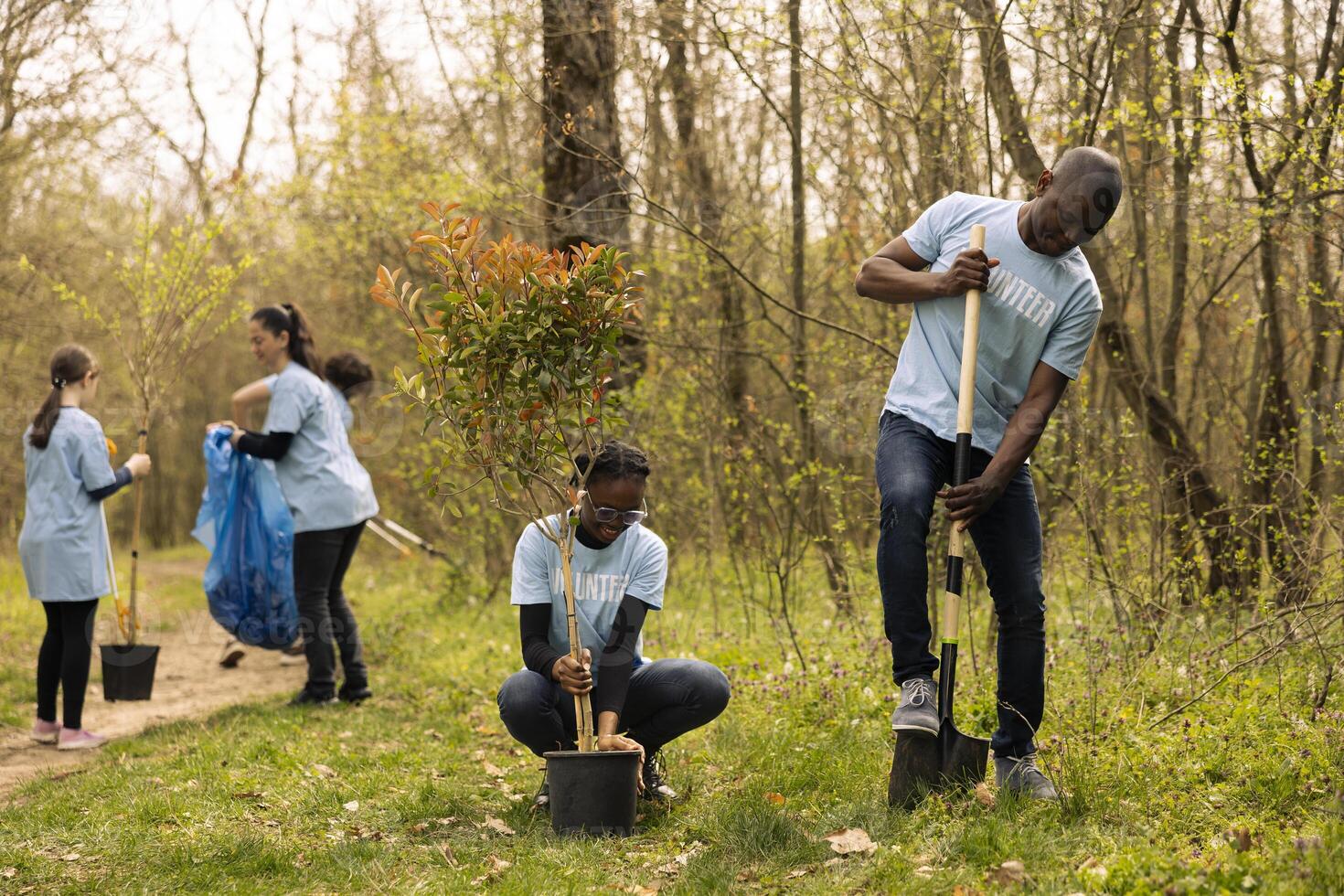 African american ecologic activists planting small trees in a forest, working together in unity to preserve and protect the natural environment. Growing vegetation for reforestation. photo