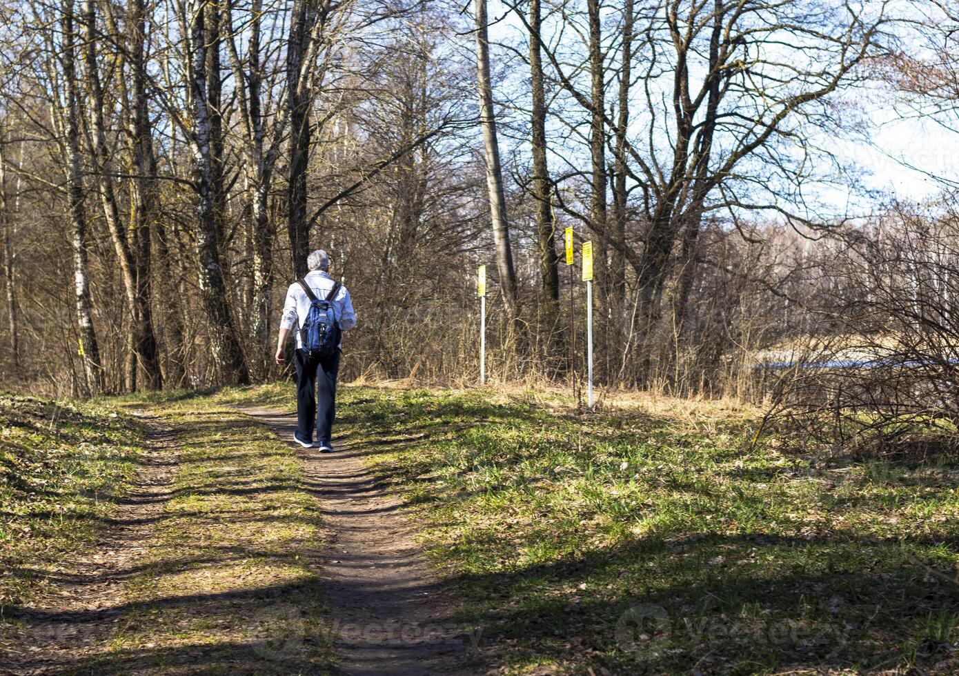 People enjoying sunny day out in the park. Outdoors photo