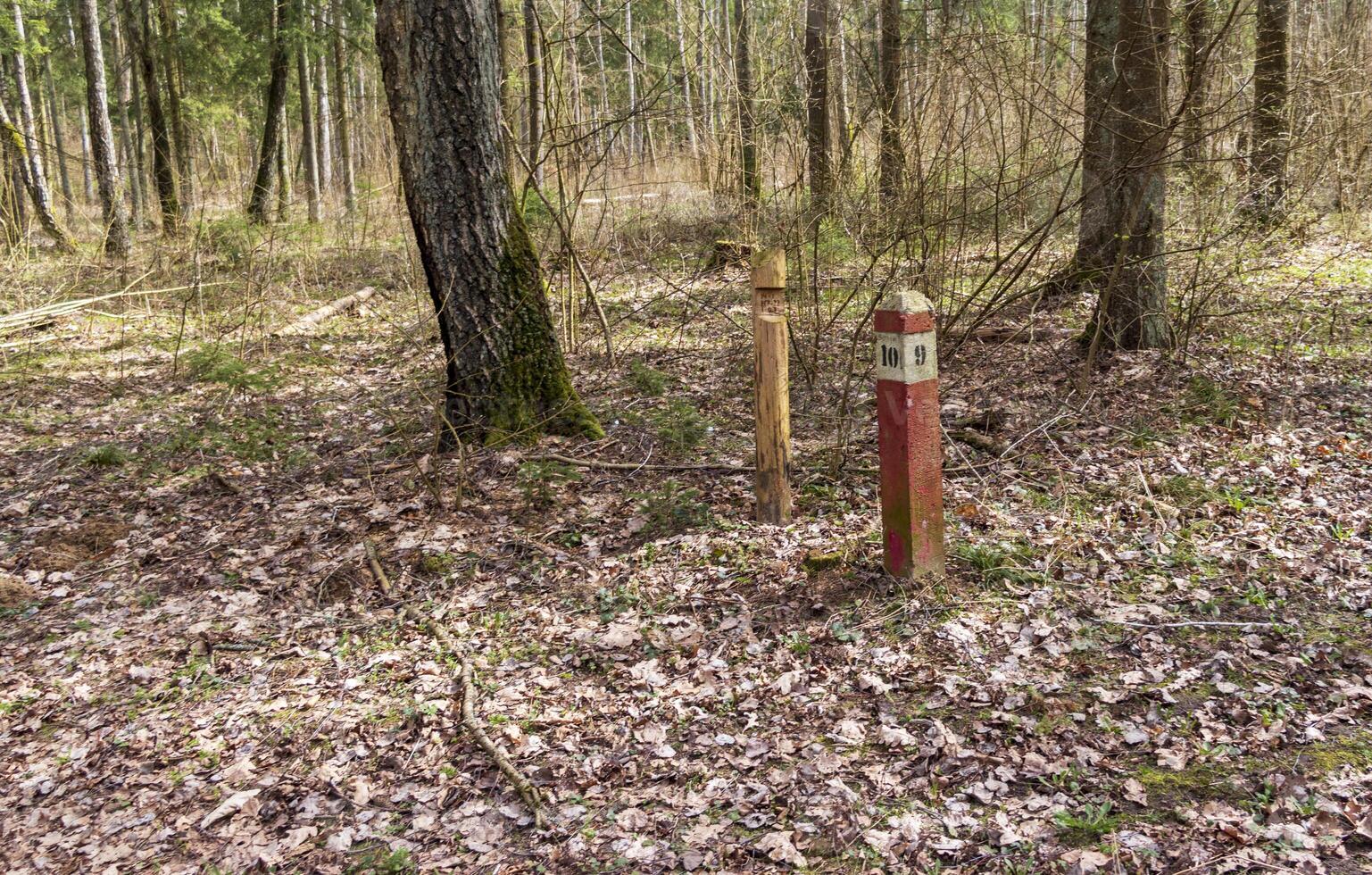 Red pole in the forest marking borders of the territory. Concept photo