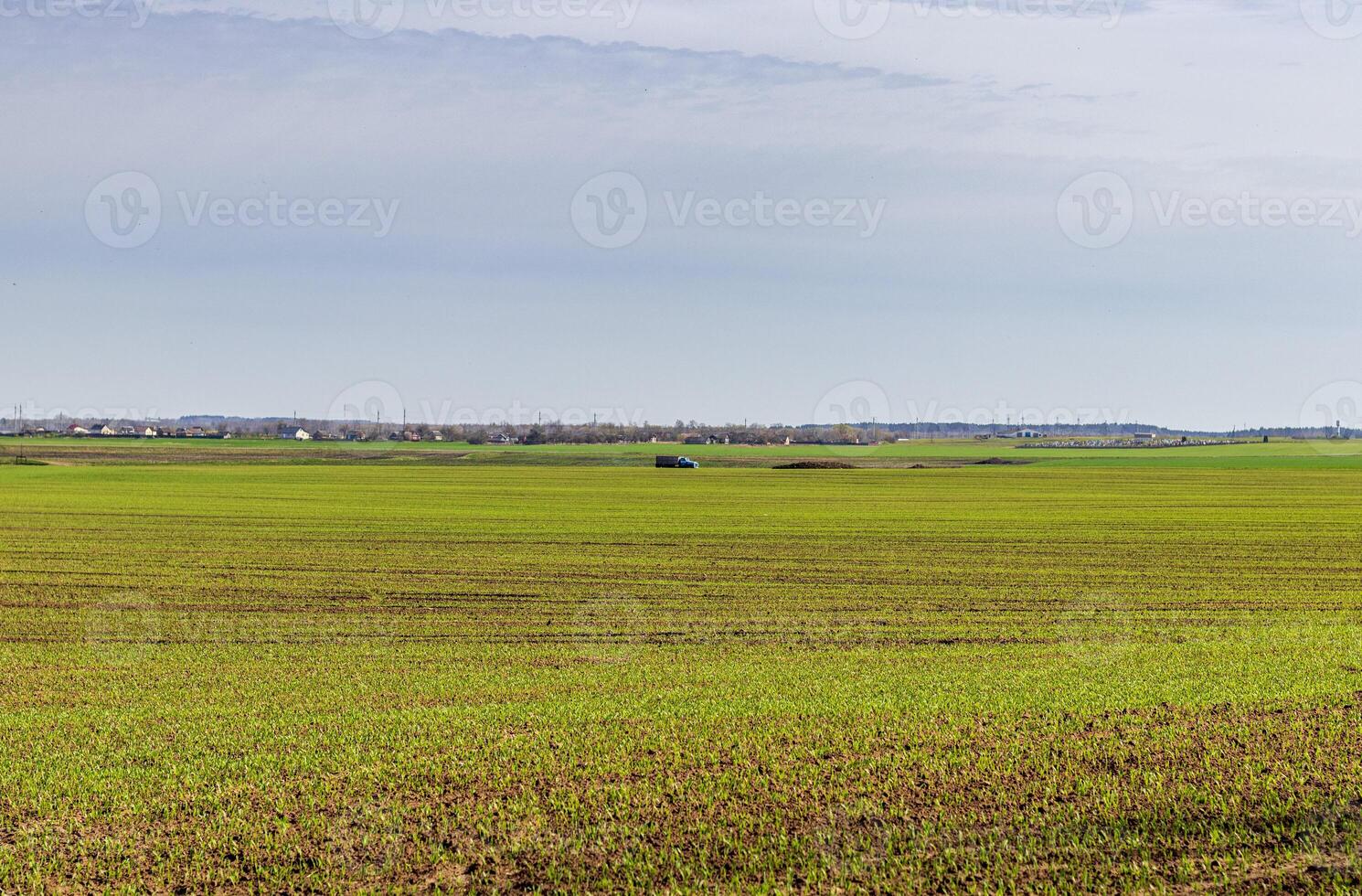 Shot of the agricultural field. Farm photo