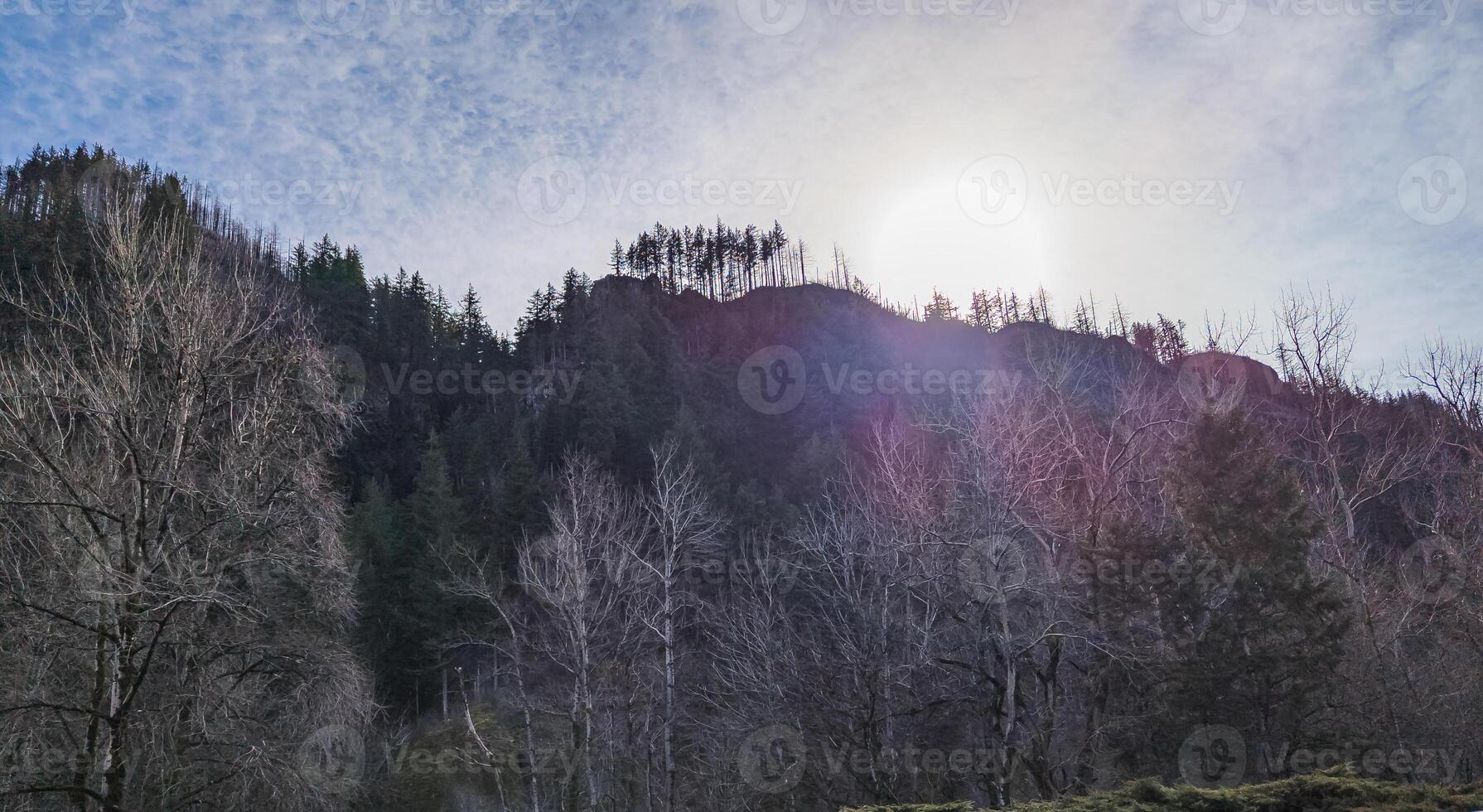 Sunset in the mountains near Multnomah Falls in Oregon in the USA photo