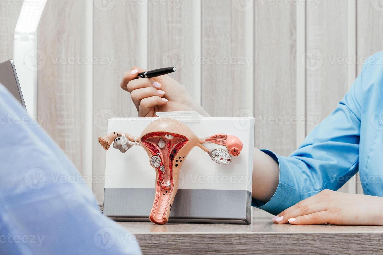 ginecólogo médico muestra bolígrafo en el plastico modelo de útero y ovarios a mujer en clínica. anatómico modelo de útero durante consulta a paciente. hembra reproductivo sistema concepto, De las mujeres salud foto