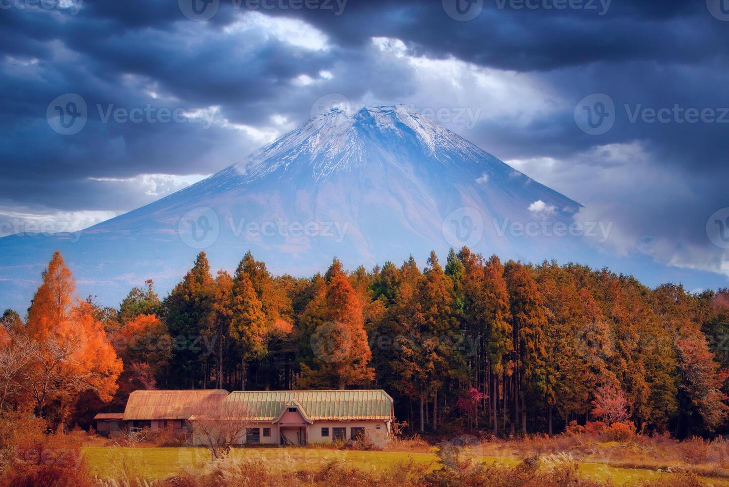 Mt. Fuji on blue sky background with autumn foliage at daytime in Fujikawaguchiko, Japan. photo