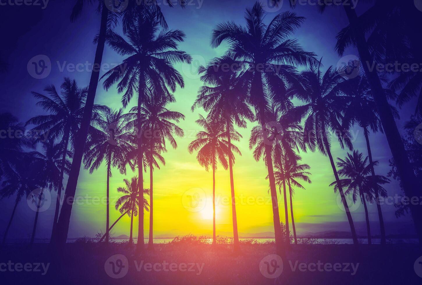 silueta Coco palma arboles en playa a puesta de sol. foto