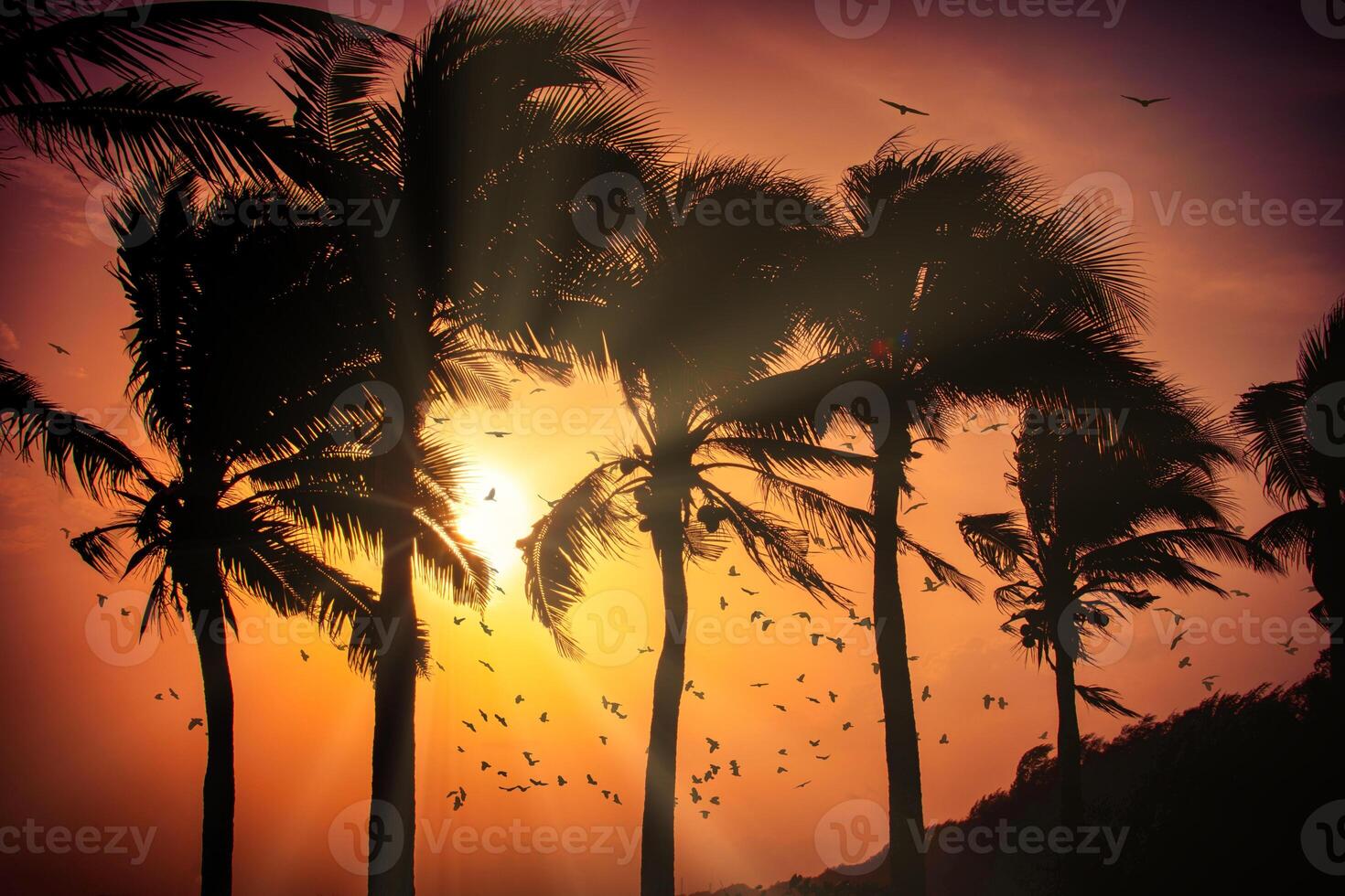 silueta de palmeras de coco en la playa al atardecer. tono vintage. foto