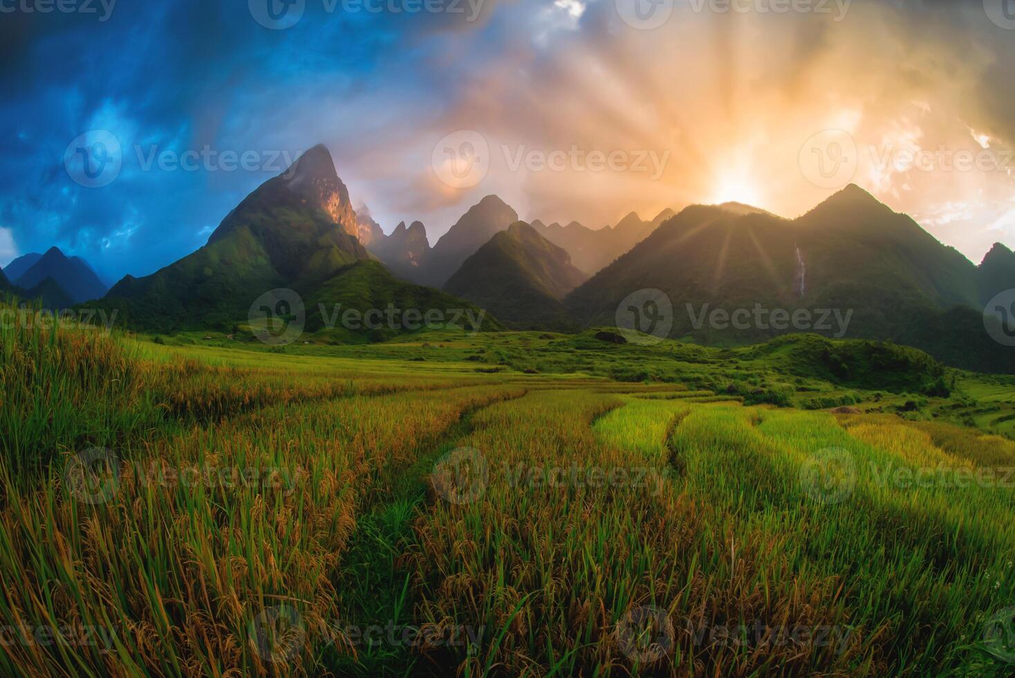 Rice fields on terraced with Mount Fansipan background at sunset in Lao Cai, Northern Vietnam. Fansipan is a mountain in Vietnam, the highest in Indochina. photo