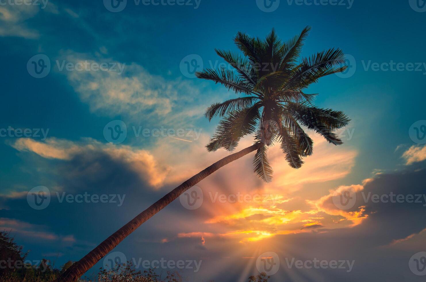 silueta de palmeras de coco en la playa al atardecer. tono vintage. foto