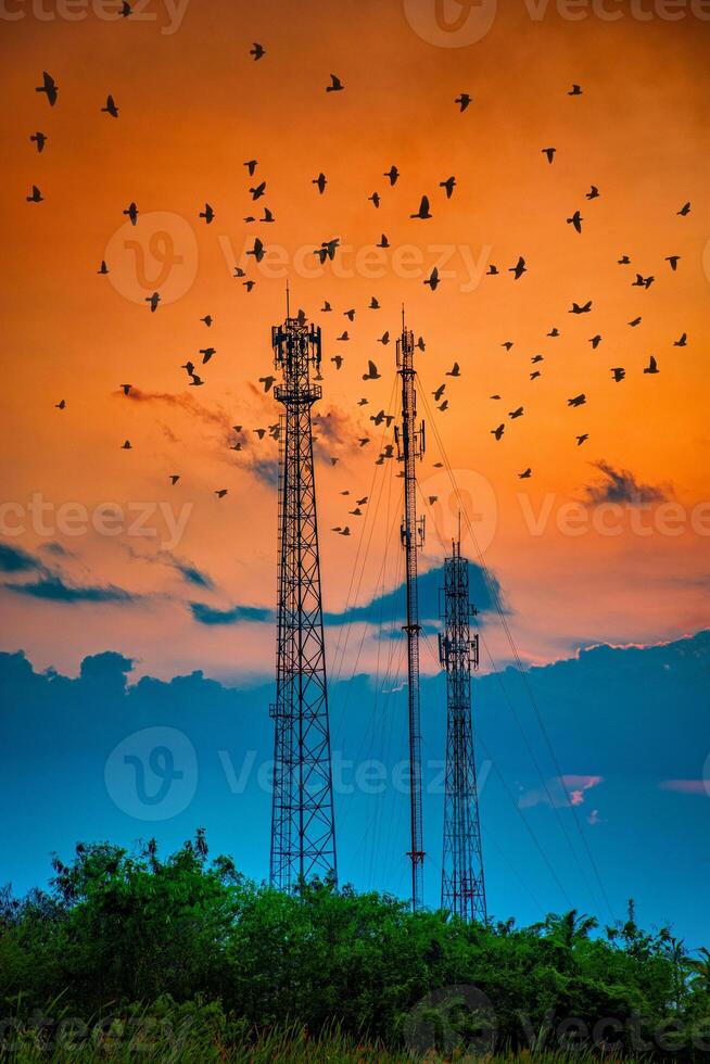 Silhouette telecommunications antenna for mobile phone at sunset photo