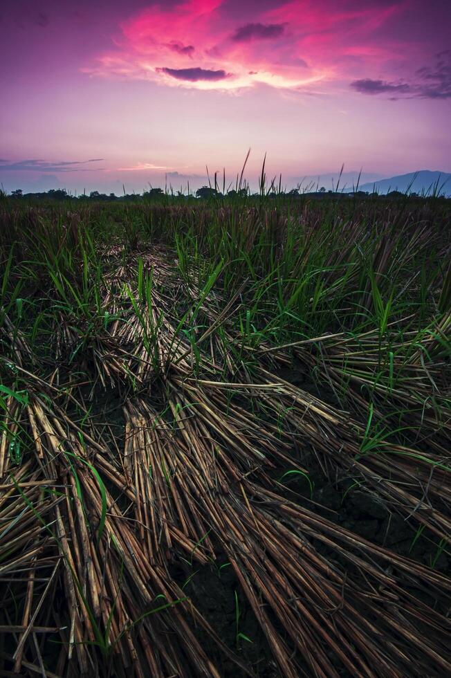 Farmland field landscape photography pictures evening after harvest season photo