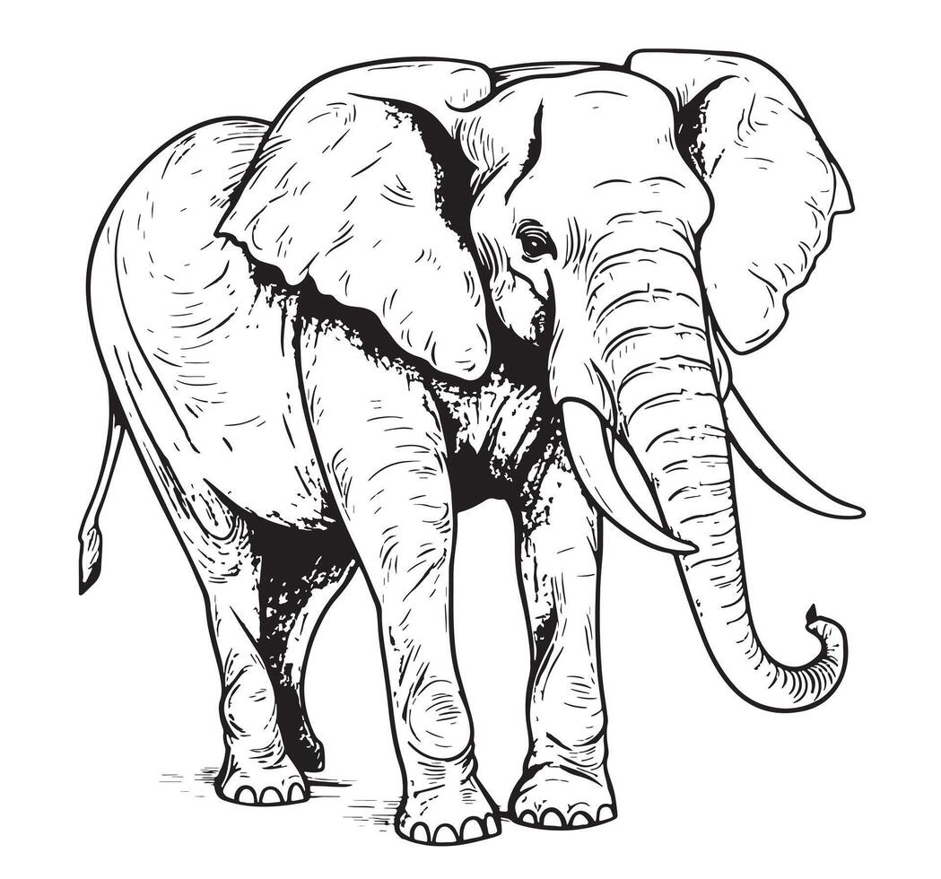 Elephant african walking hand drawn sketch illustration vector