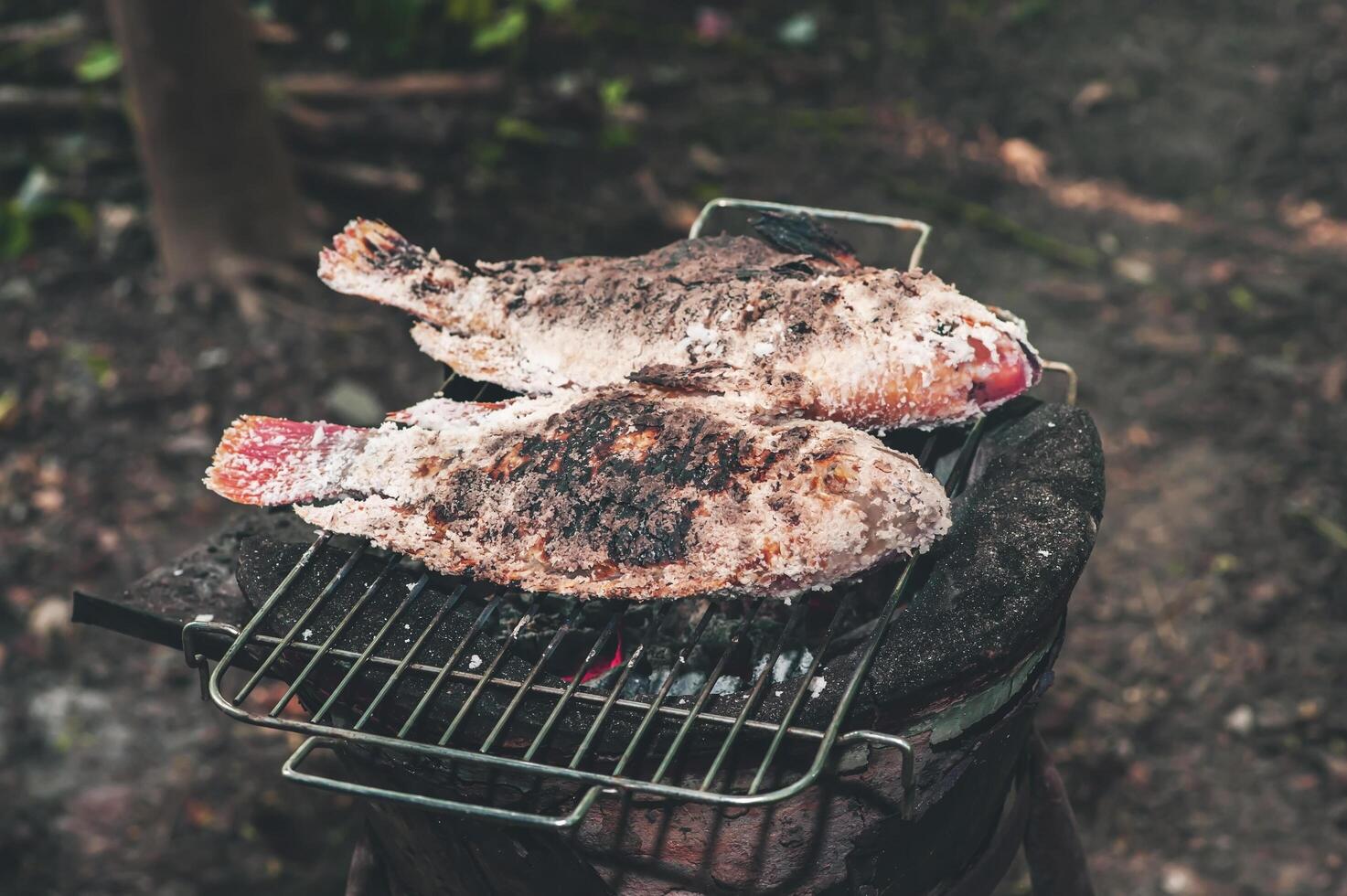 The ruby fish is coated with salt and placed on a charcoal grill in a clay oven. photo