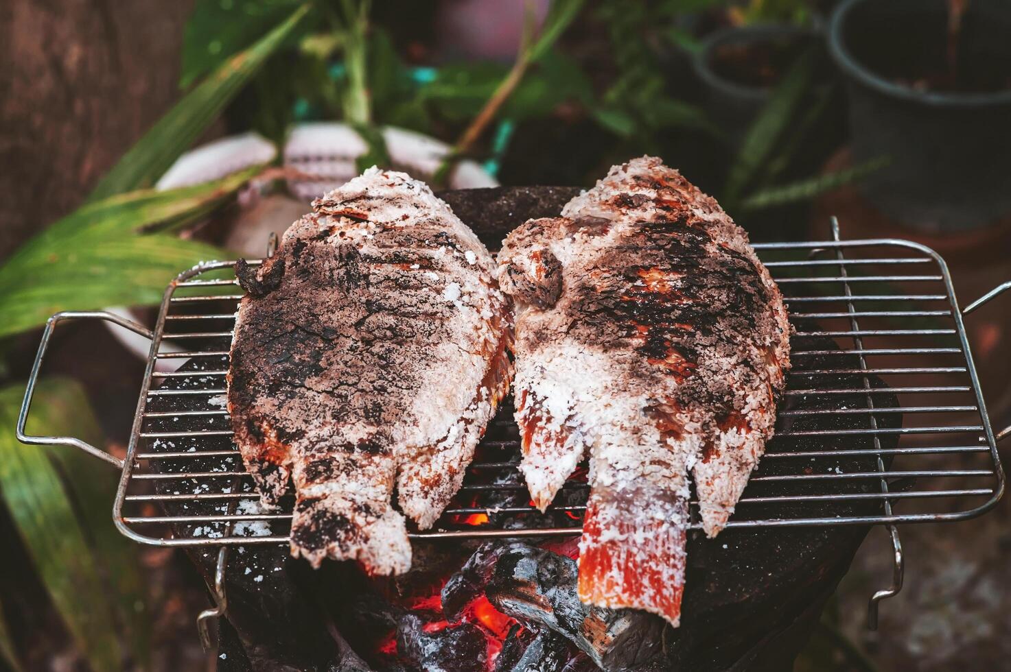 The ruby fish is coated with salt and placed on a charcoal grill in a clay oven. photo