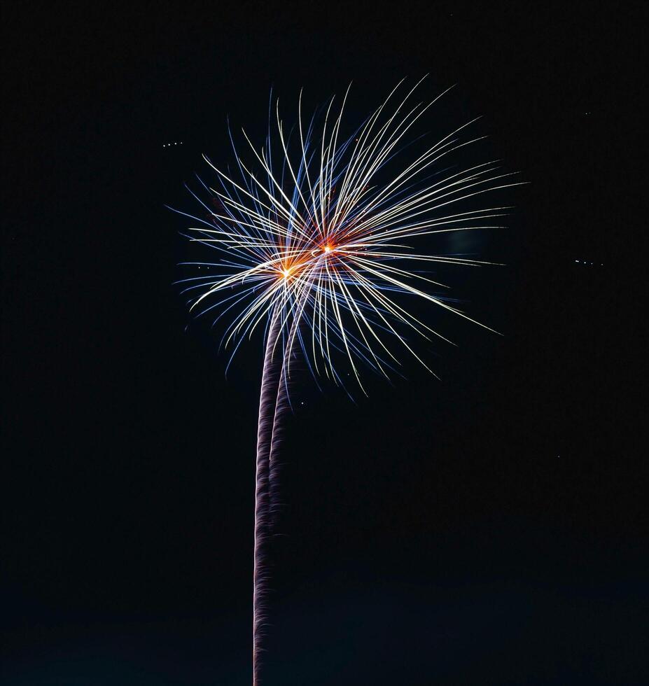 Fireworks explode in the dark sky to celebrate. photo