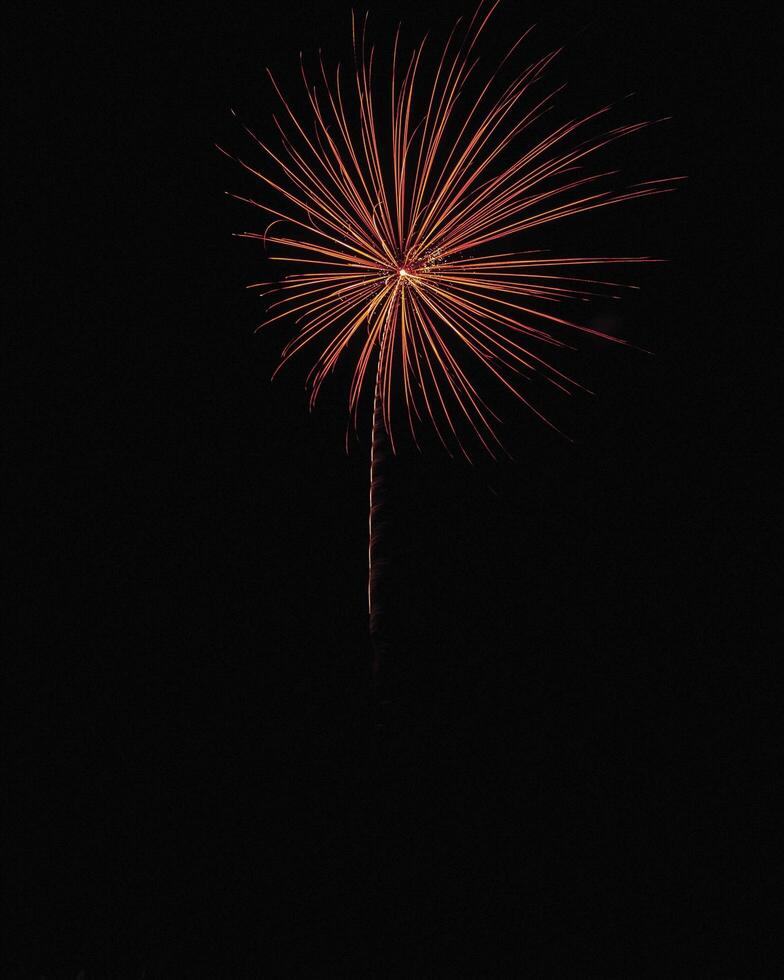 Fireworks explode in the dark sky to celebrate. photo