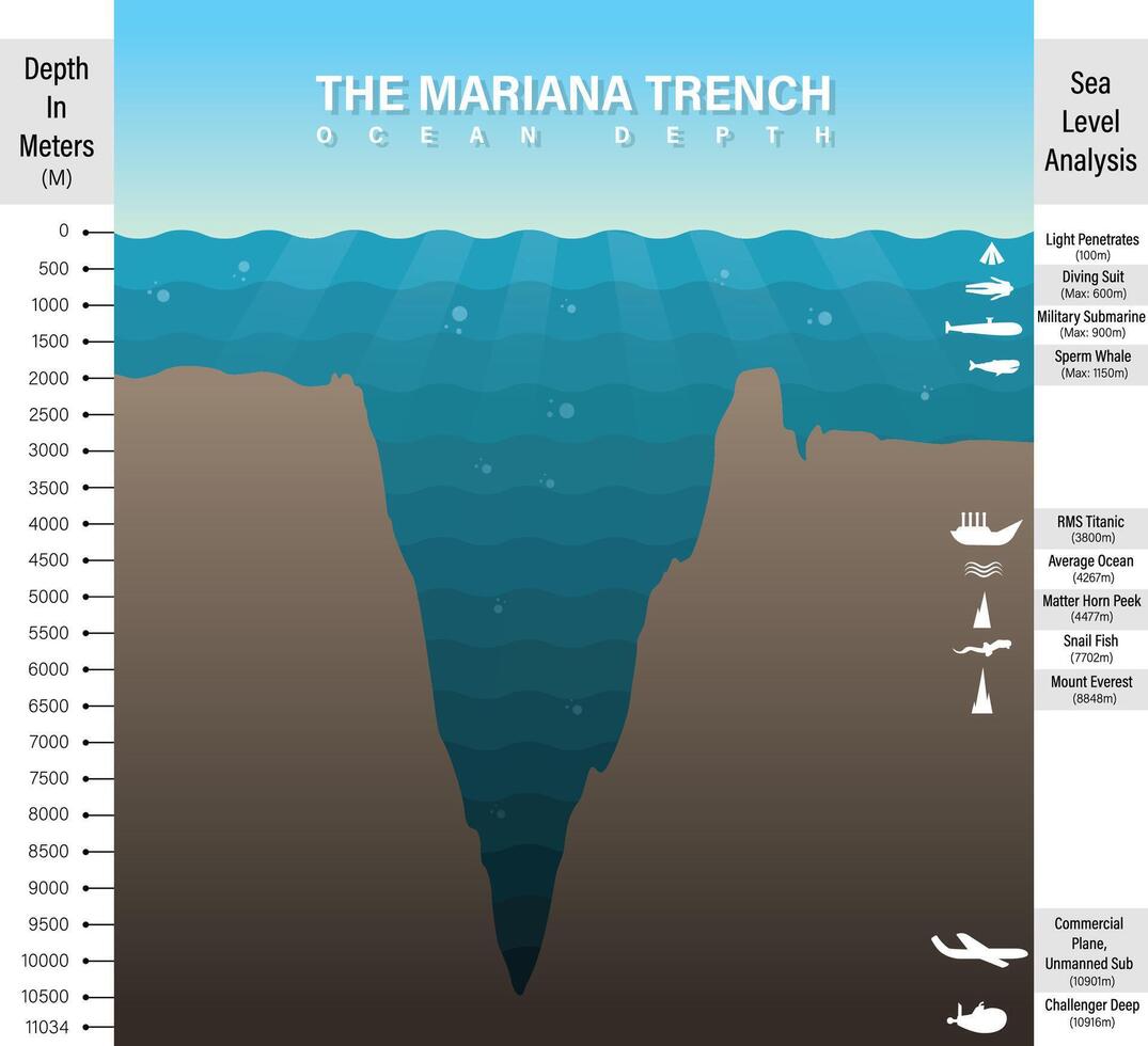 Cartoon style mariana trench sea illustration, infographics, analysis, depth of ocean vector