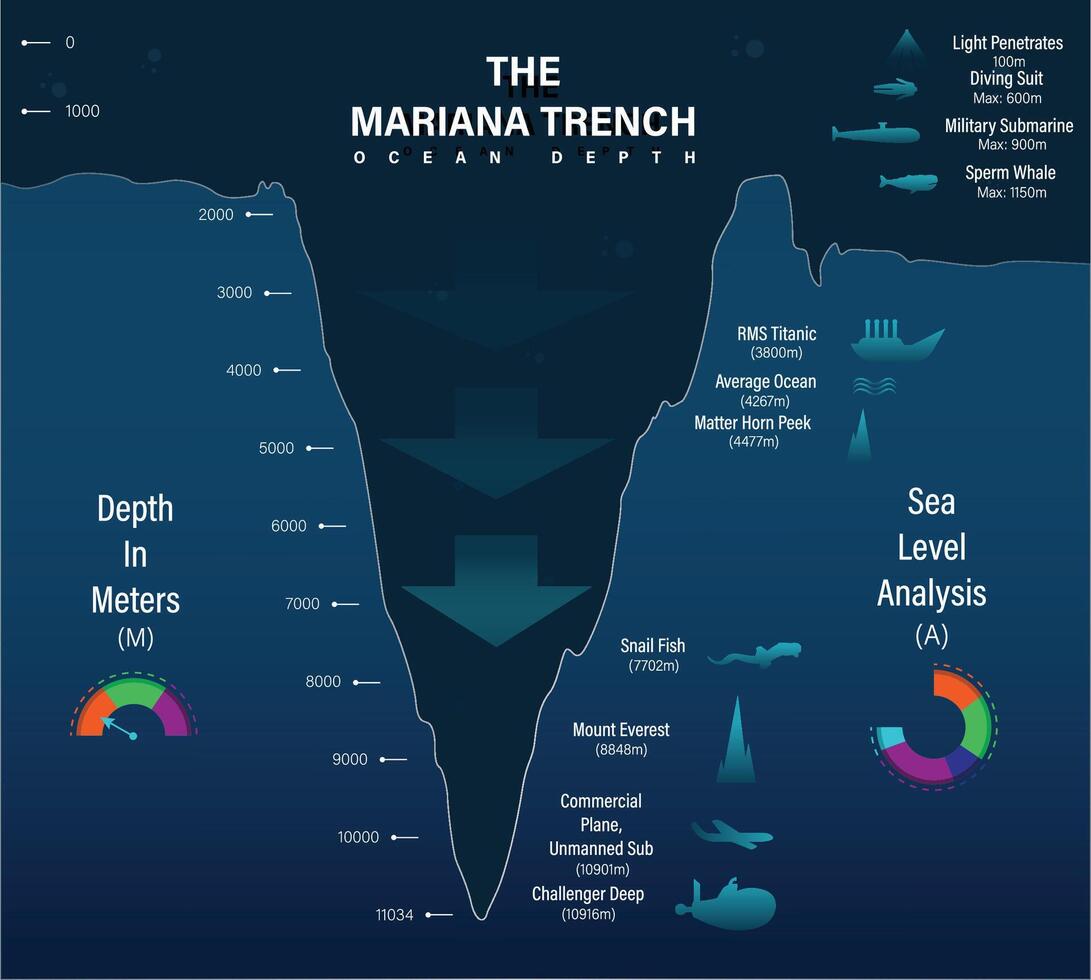 Mariana trench sea illustration, infographics or analysis, depth of ocean vector