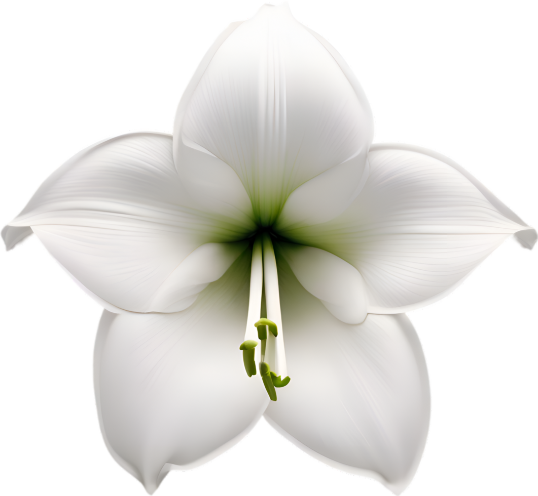 Amaryllis clipart. A cute Amaryllis flower icon. AI-Generated. png