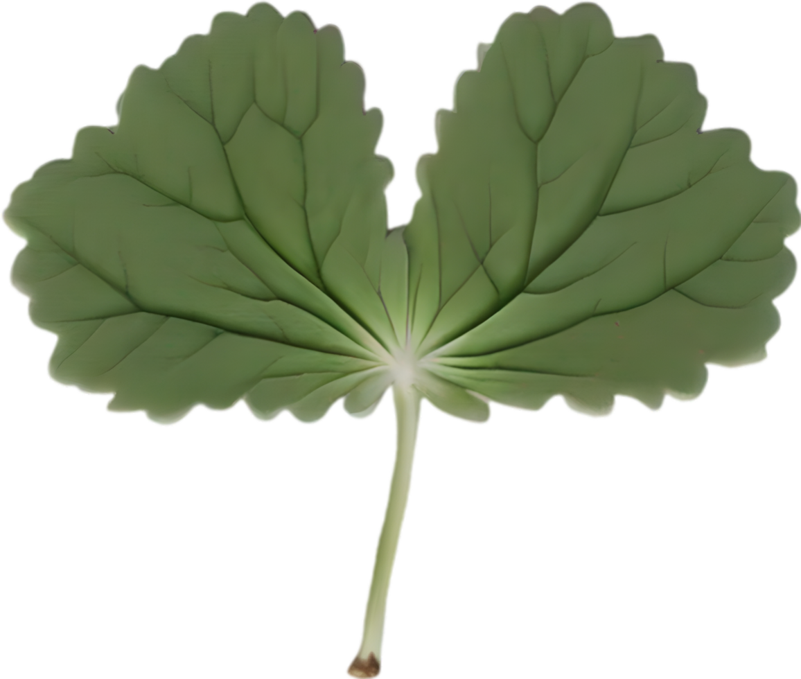 Hepatica Americana clipart. A cute Hepatica Americana flower icon. AI-Generated. png