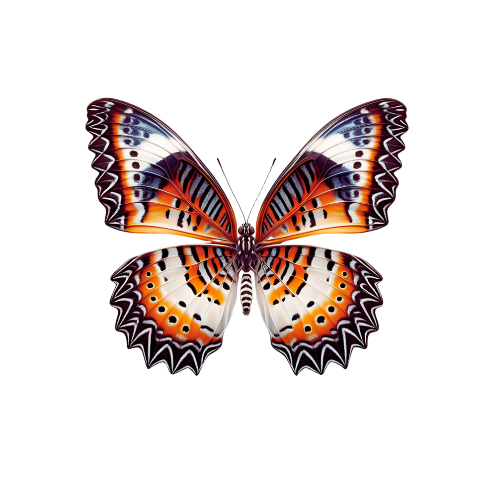 A macro photograph of a Viceroy butterfly highlighting its intricate wing patterns and colorful png