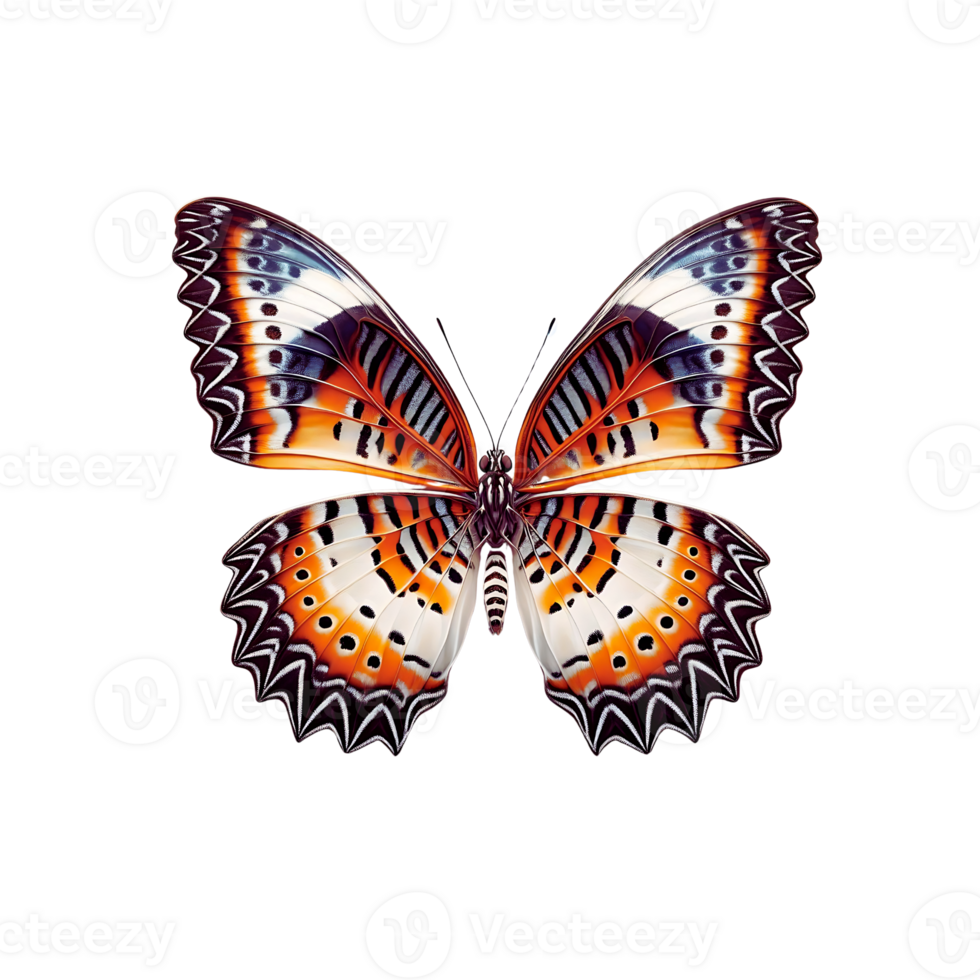 en makro fotografera av en underkung fjäril highlighting dess invecklad vinge mönster och färgrik png