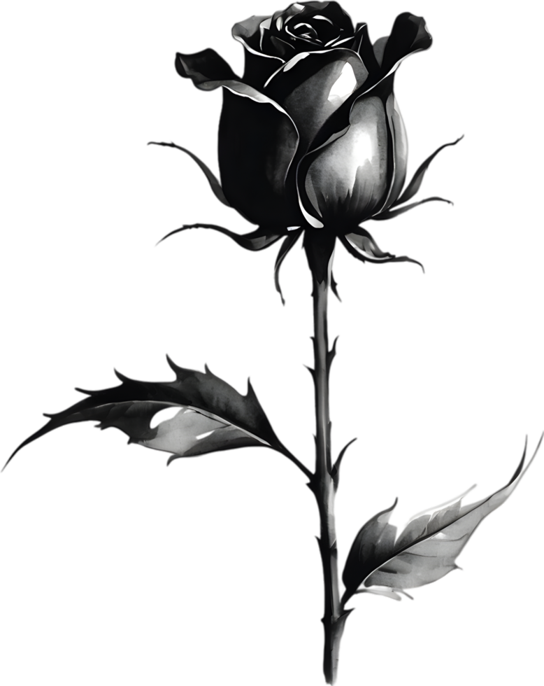 A single black Sumi-e rosebud with a sharp thorn. AI-Generated. png