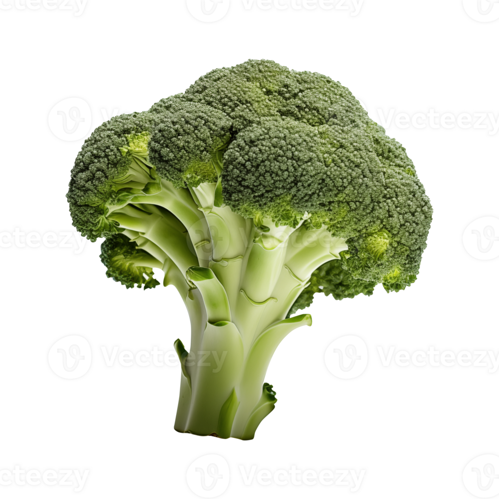 Broccoli Transparent background png