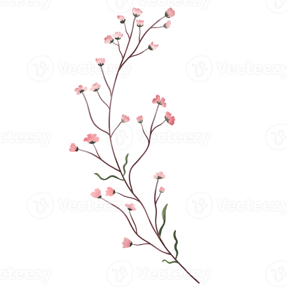 Pink wild flower bouquet watercolor illustration. png