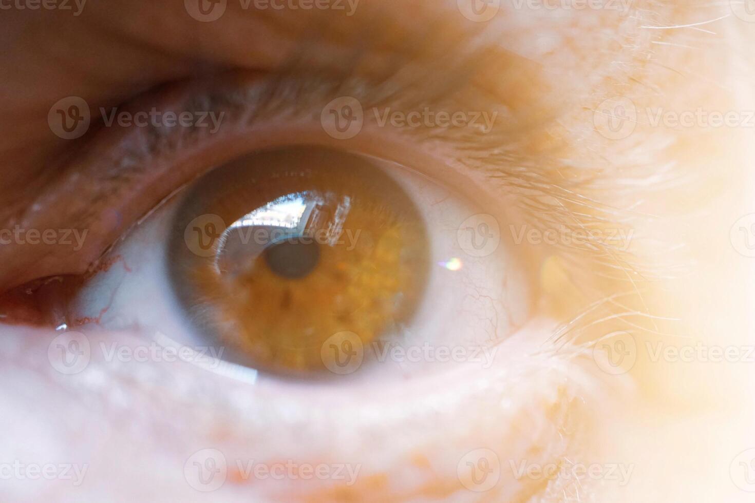 man eye looking at camera, brown eye photo
