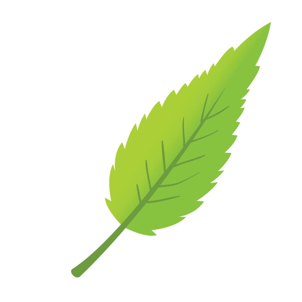 Leaf plant foliage illustration vector