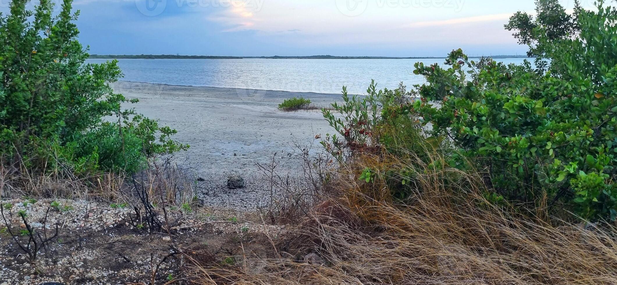 Pink lake in Cuba, Cayo Coco island. It has its color because of the plankton. Nature photo