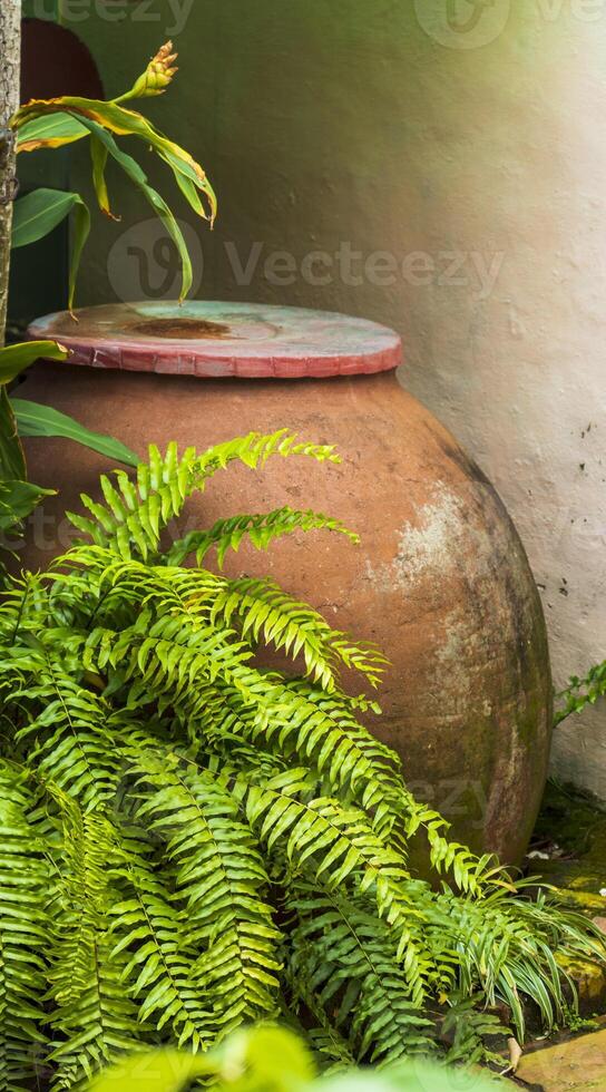 Shot of the traditional Cuban clay pot. Object photo