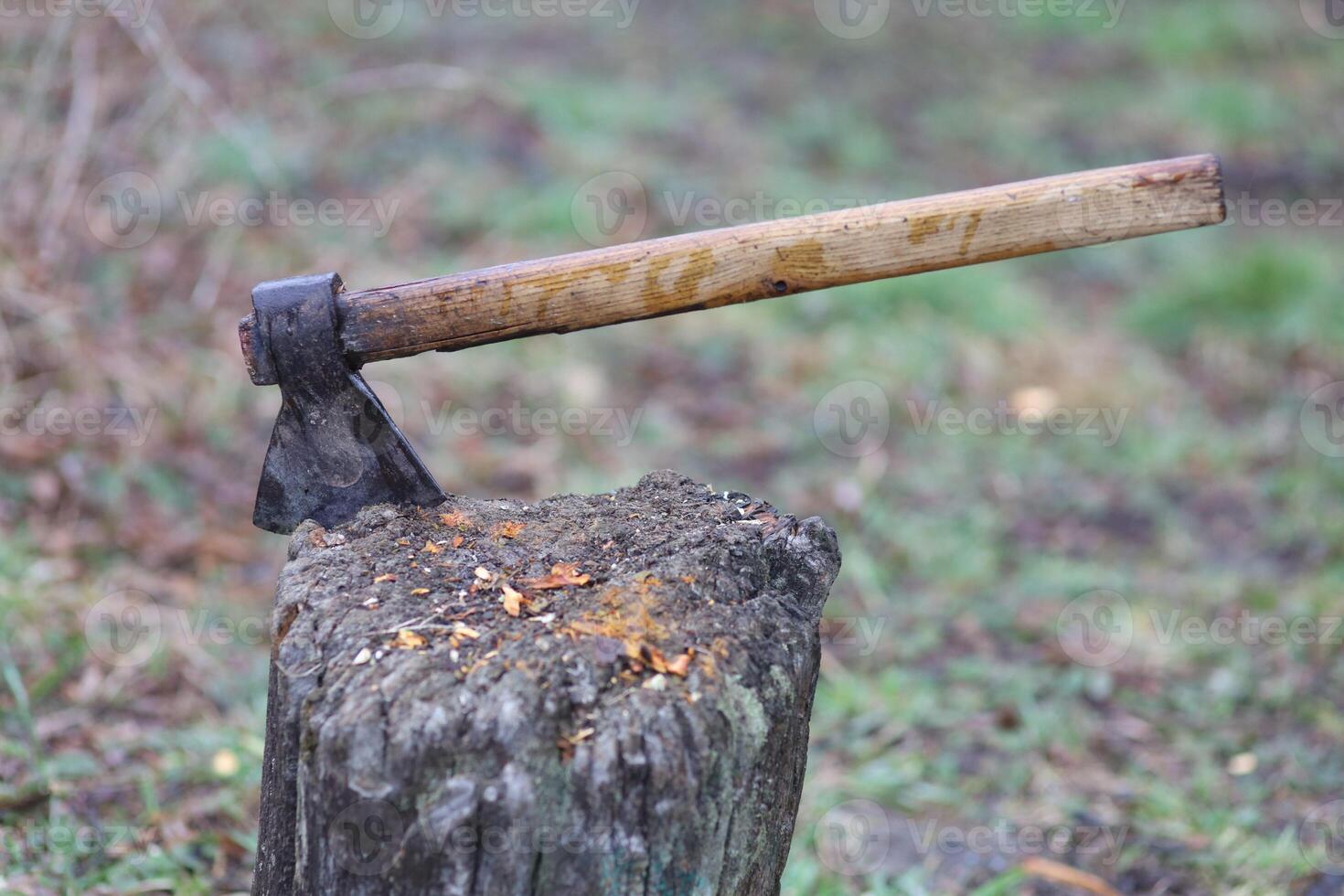 Axe in Tree Stump, Outdoors photo