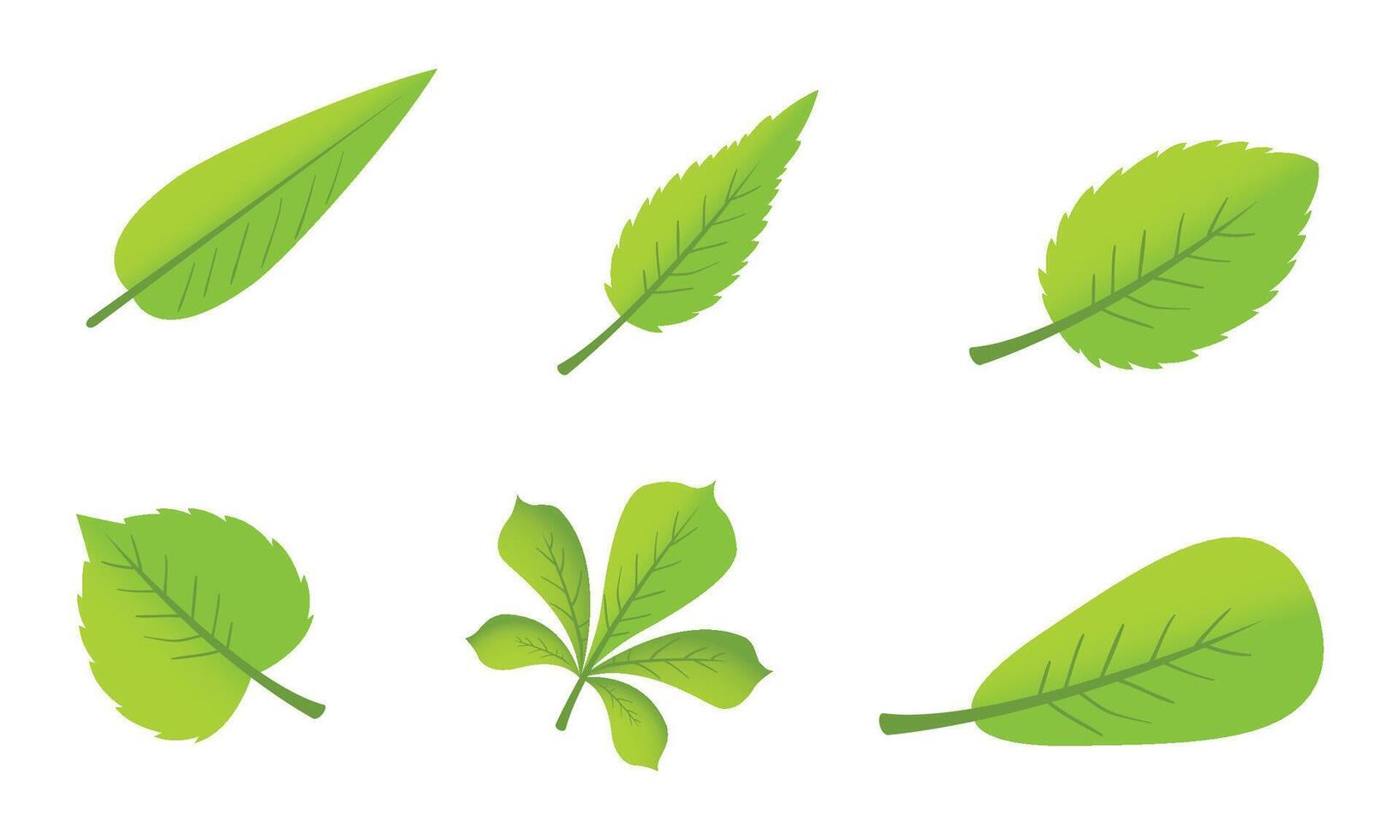 flat design green leaves pack on white background vector
