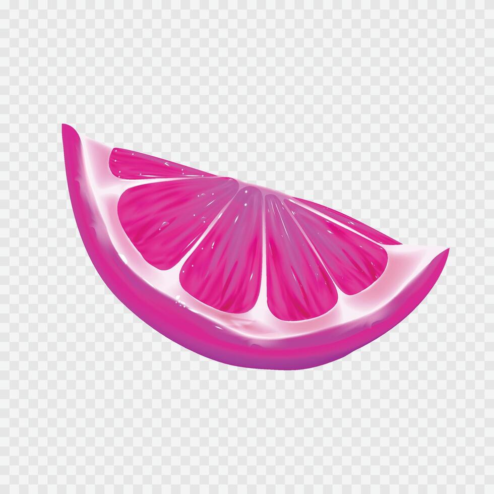 realistic pink slice of citruse on white background vector