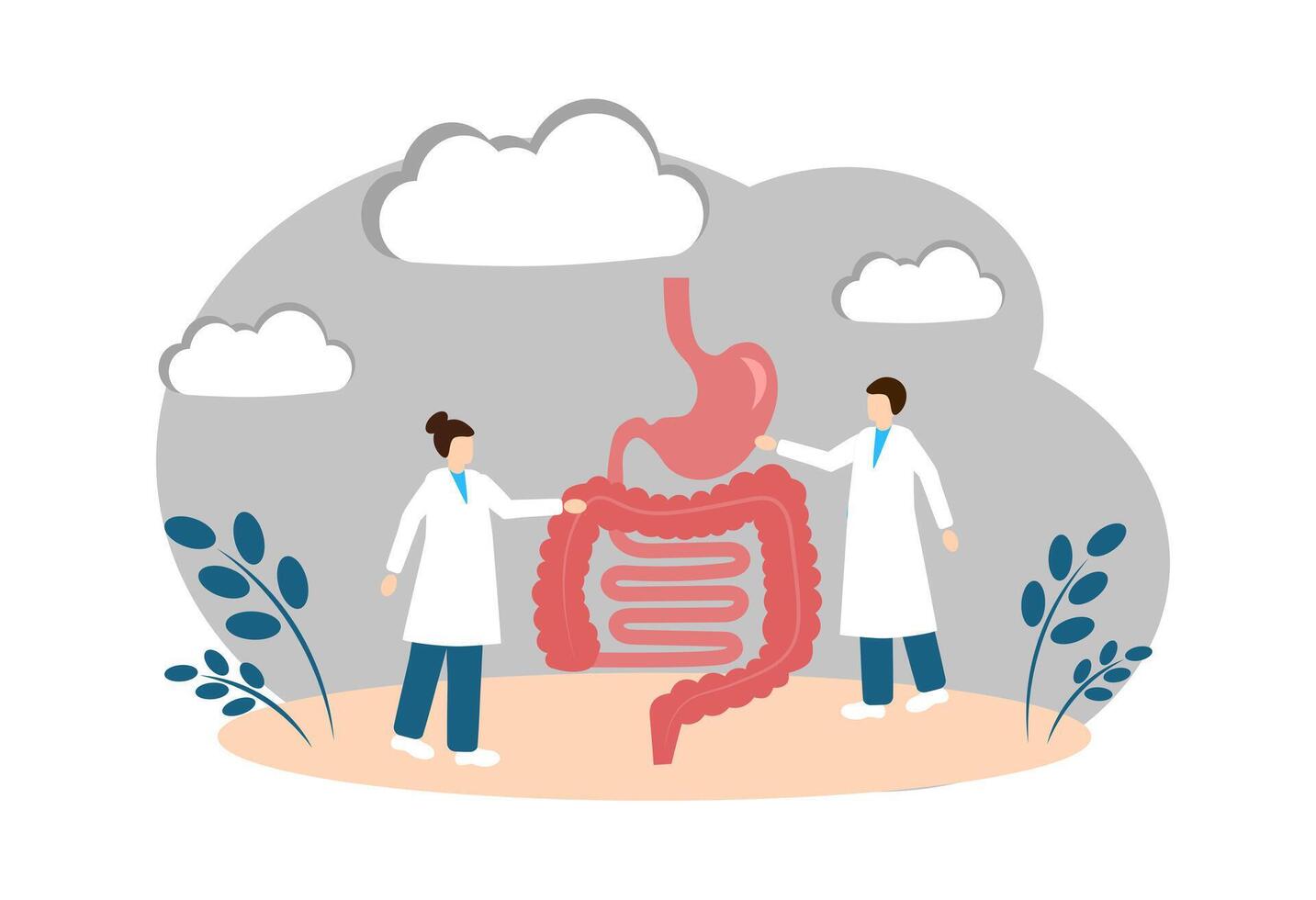 digestivo órganos humano anatomía. intestinos y estómago vector