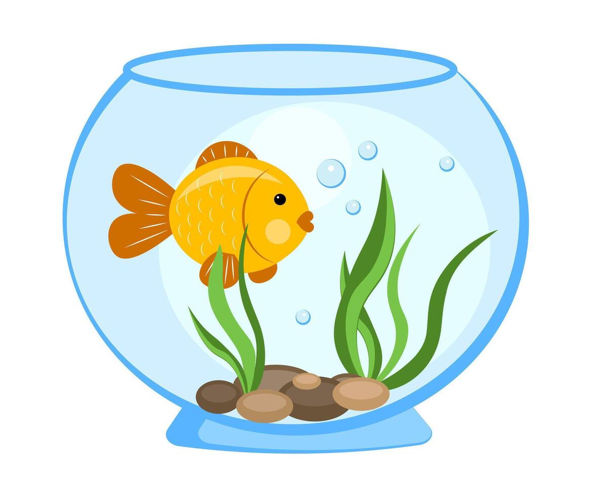 Goldfish in an aquarium on a white background vector