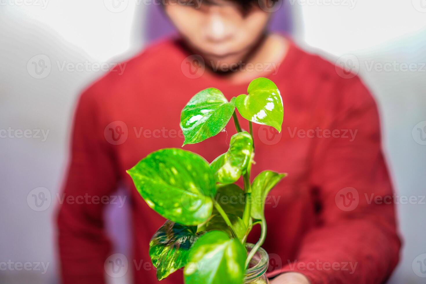 Ivory betel plant held by a man in red, seen from the front. photo