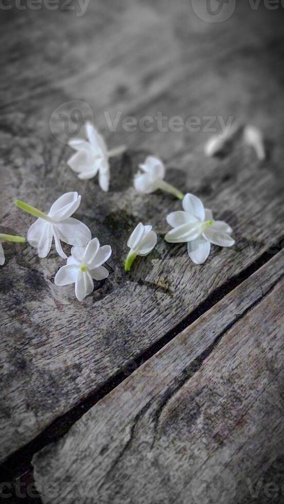 top view of a bunch of jasmine flowers on an old wooden table. photo