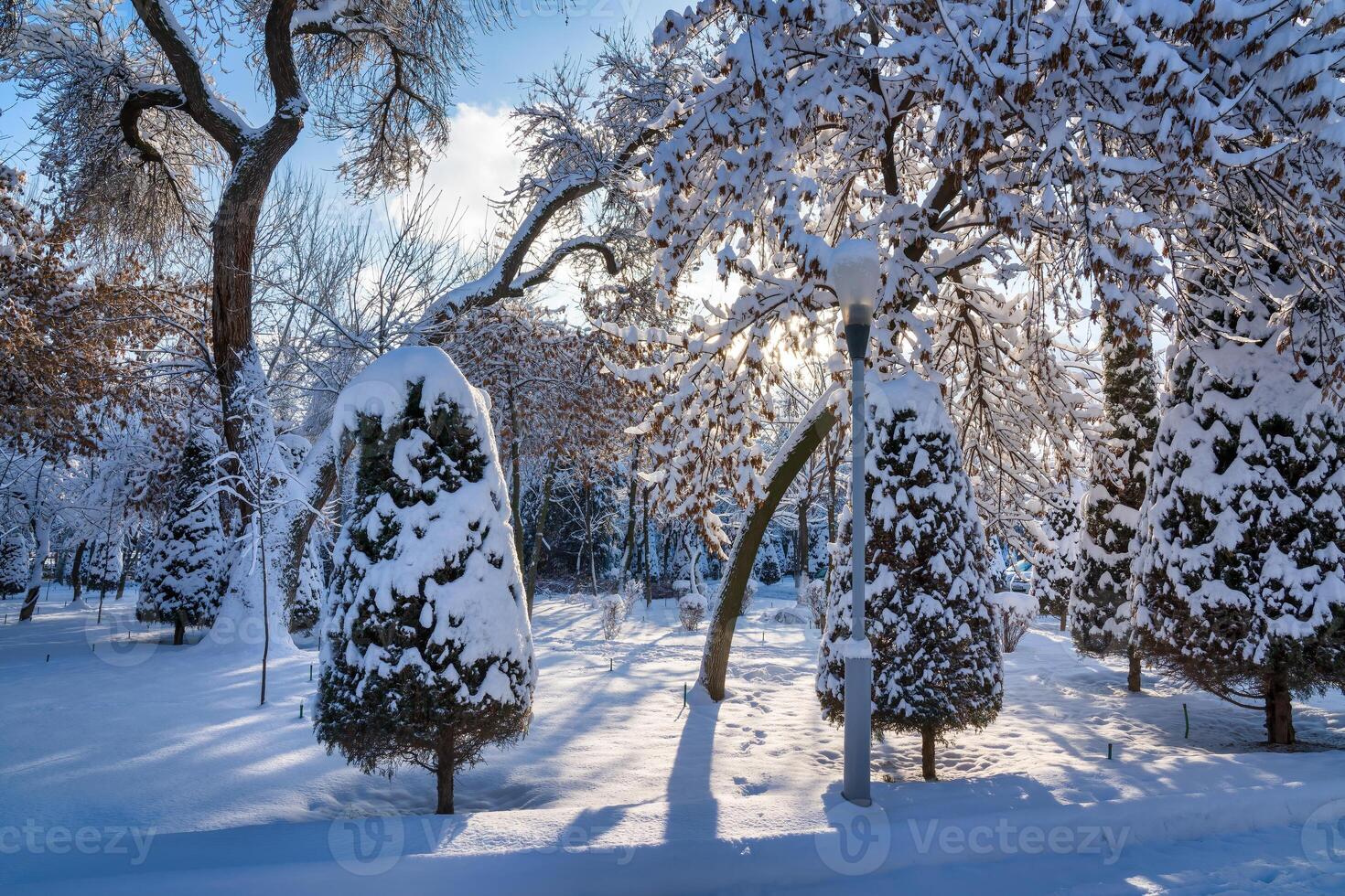 Sunset or dawn in a winter city park with trees covered with snow and ice. photo