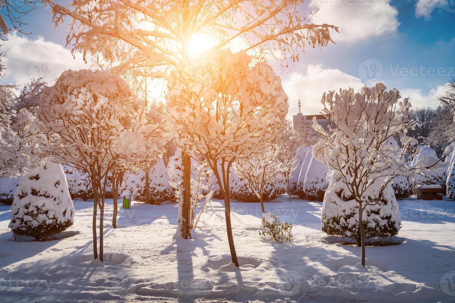 Sunset or dawn in a winter city park with trees covered with snow and ice. photo