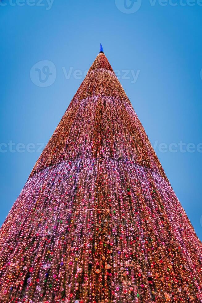 Artificial Christmas tree in garlands at twilight. photo