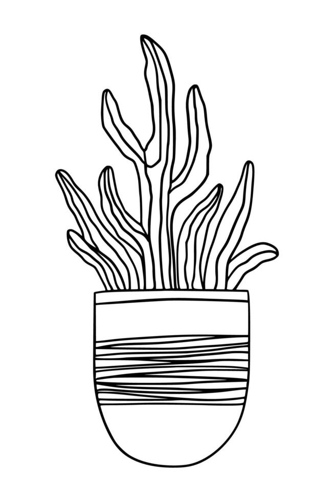 Indoor potted cactus plant drawing. Cute succulent for house garden. coloring page outline illustration isolated. Doodle cacti Plant design element vector