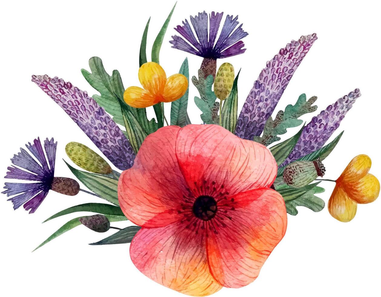 Summer composition bouquet of wildflowers cornflowers poppies i vector