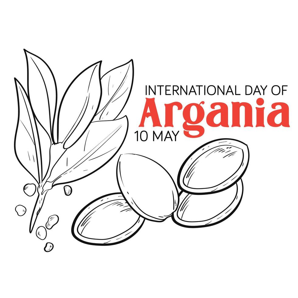 International day of argania celebration design with the argan oil. Hand drawing line Argan oil nuts with plant illustration. International Day of Argania celebration poster design vector