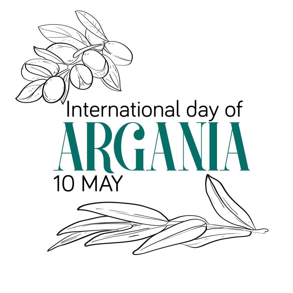 International day of argania celebration design with the argan oil. Hand drawing line Argan oil nuts with plant illustration. International Day of Argania celebration poster design vector