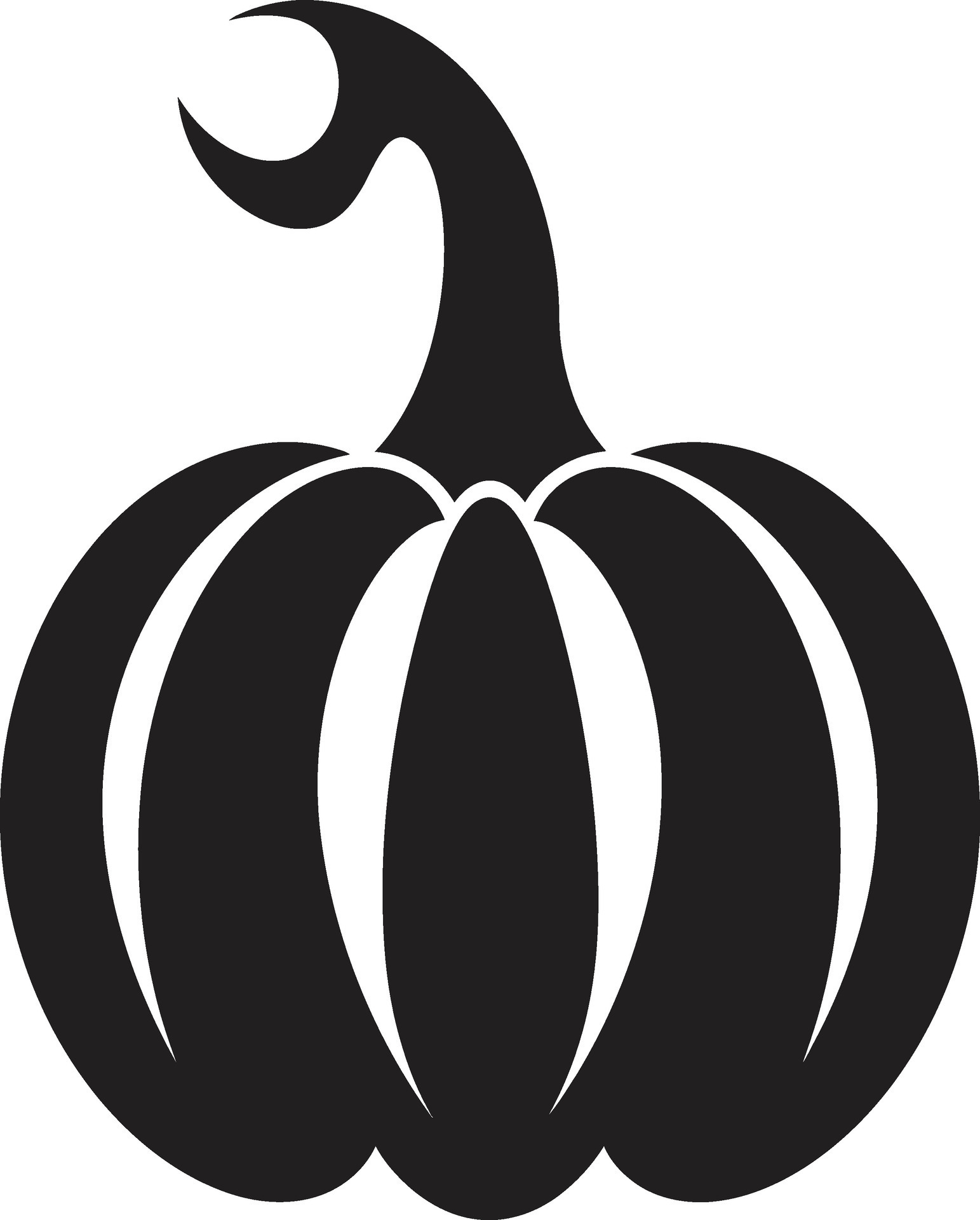 Enigmatic Essence Elegant Black Pumpkin Creepy Carving Black Pumpkin 