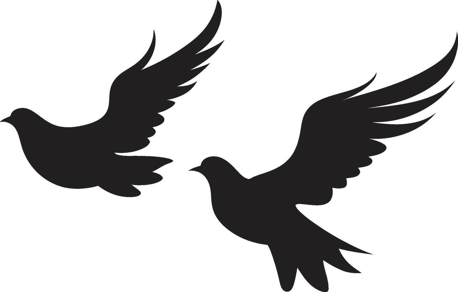 Feathered Union Dove Pair Flight of Compassion of a Dove Pair vector