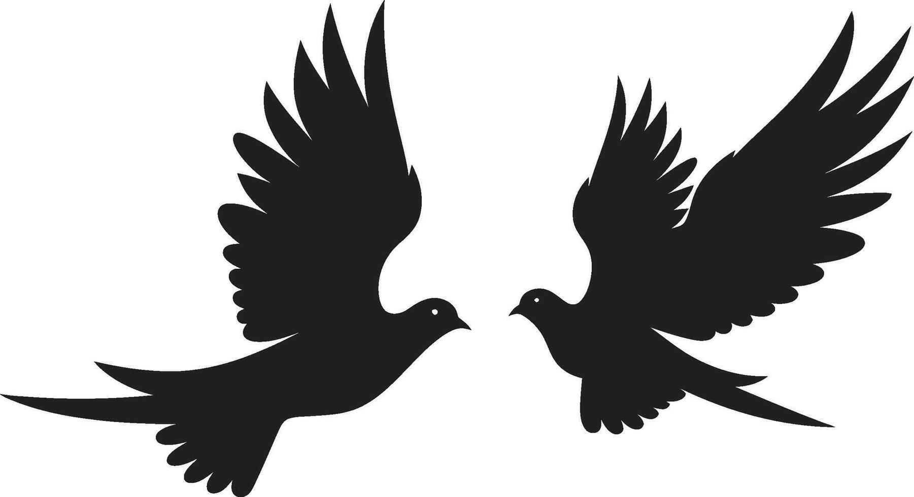 Winged Serenity of a Dove Pair Loving Flight Dove Pair vector