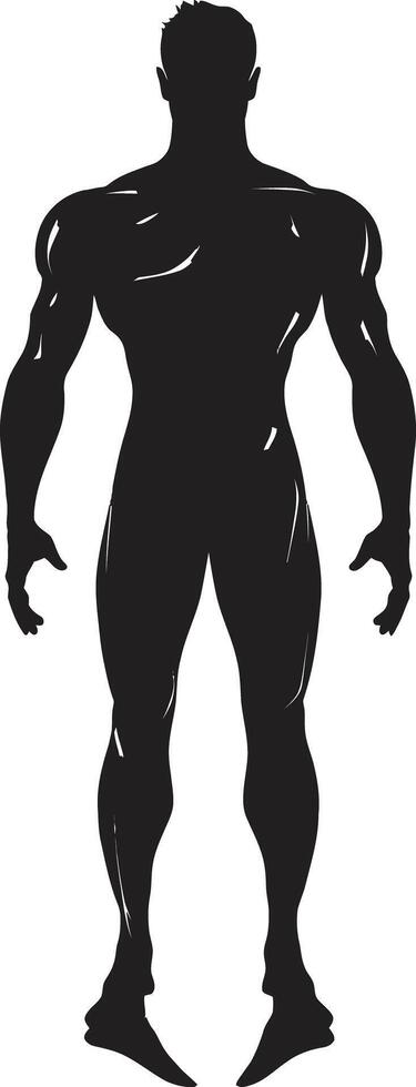 Phantom Protector Protector of the Phantom Blackstar Buccaneer Buccaneer of the Blackstar vector
